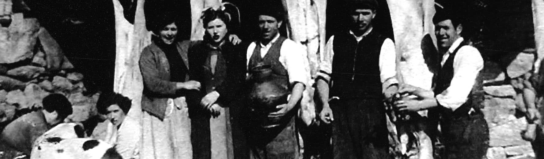 Historia de Hermanos Hoyos